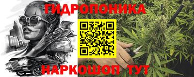 2c-b Новозыбков
