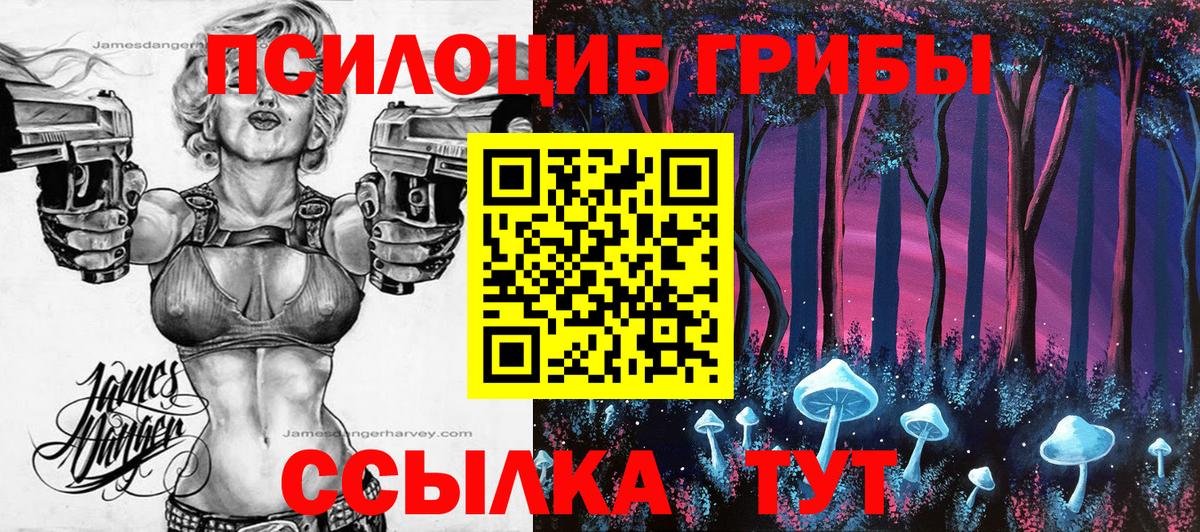 Псилоцибиновые грибы Psilocybe Энгельс